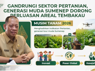 Siapkan Benih Unggul dan Asuransi, DKPP Sumenep Targetkan Luas Lahan Tembakau Kembali Meningkat