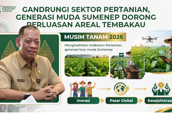 Siapkan Benih Unggul dan Asuransi, DKPP Sumenep Targetkan Luas Lahan Tembakau Kembali Meningkat