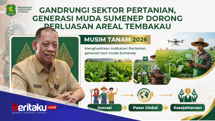 Gandrungi Sektor Pertanian, Generasi Muda Sumenep Dorong Perluasan Areal Tembakau Musim Tanam 2026