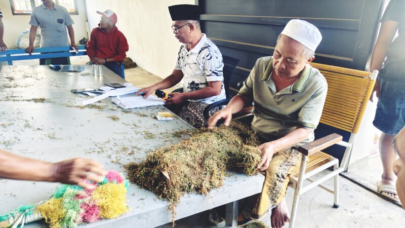 Gudang Daramista Sumenep Mulai Buka, Bos HM Imbau Petani Tidak Petik Tembakau Muda