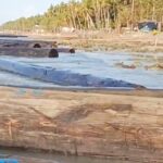Gegerkan Warga Pesisir, Ratusan Kayu Ulin Gelondongan Terdampar di Pantai Dungkek Sumenep