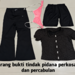 Satreskrim Polresta Sumenep Ungkap Dugaan Perkosaan dan Percabulan terhadap Anak, Satu Tersangka Diamankan