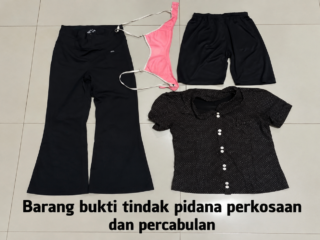 Satreskrim Polresta Sumenep Ungkap Dugaan Perkosaan dan Percabulan terhadap Anak, Satu Tersangka Diamankan