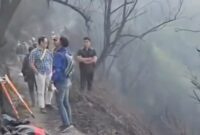 Foto: Petugas gabungan dan tim evakuasi menyisir medan terjal di kawasan Taman Nasional Bromo Tengger Semeru (TNBTS) usai insiden kebakaran hutan yang merenggut tiga korban jiwa di Kecamatan Sukapura, Kabupaten Probolinggo.
