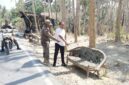 Foto: Petugas kepolisian Polsek Prenduan bersama aparat terkait saat melakukan olah tempat kejadian perkara (TKP) penemuan bayi laki-laki di atas kursi tua di tepi jalan Dusun Drusah, Desa Prenduan, Kecamatan Pragaan, Kabupaten Sumenep.