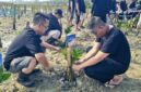 Foto: General Manager MYZE Hotel Sumenep by ARTOTEL, Akfian Farado Gusti (kiri), bersama tim manajemen terjun langsung menanam bibit pohon mangrove di kawasan pesisir Kecamatan Saronggi, Kabupaten Sumenep.